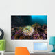 Anemone Grows Rocks Marys Wall Decal