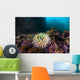 Anemone Grows Rocks Marys Wall Decal