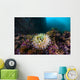 Anemone Grows Rocks Marys Wall Decal