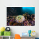 Anemone Grows Rocks Marys Wall Decal