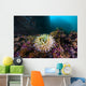 Anemone Grows Rocks Marys Wall Decal