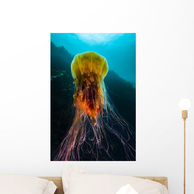 Lion's Mane Jellyfish Rises Wall Decal shown on a wall