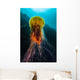 Lion's Mane Jellyfish Rises Wall Decal