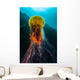 Lion's Mane Jellyfish Rises Wall Decal