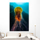 Lion's Mane Jellyfish Rises Wall Decal