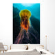 Lion's Mane Jellyfish Rises Wall Decal