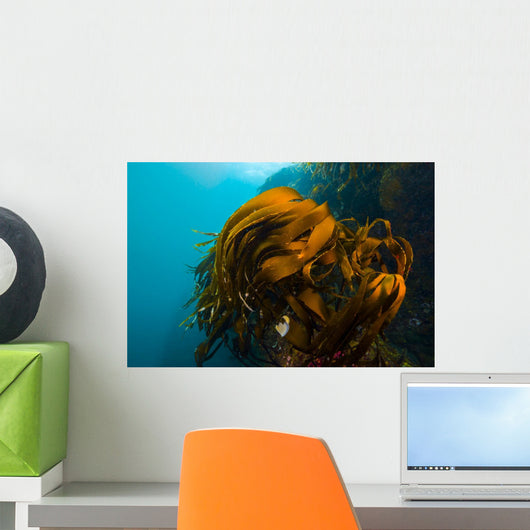 Giant Kelp Outcropping Grows Wall Decal
