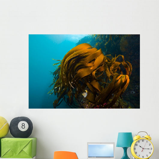 Giant Kelp Outcropping Grows Wall Decal