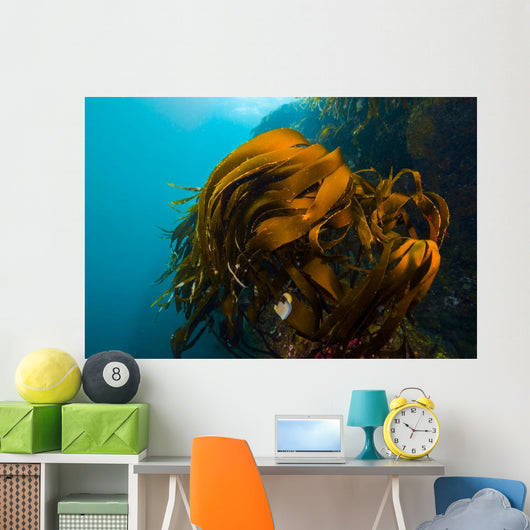 Giant Kelp Outcropping Grows Wall Decal