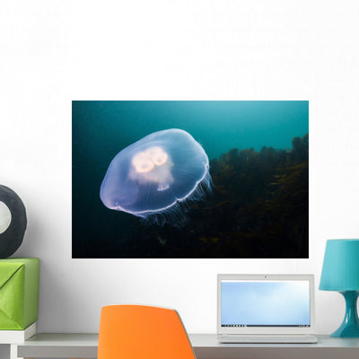 Moon Jellyfish Top Wall Decal shown on a wall