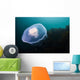 Moon Jellyfish Top Wall Decal