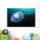 Moon Jellyfish Top Wall Decal