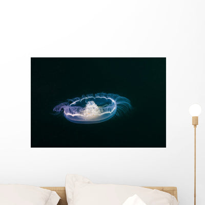 Moon Jellyfish Wall Decal shown on a wall