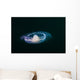 Moon Jellyfish Wall Decal