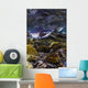 Humpback Salmon Returning Resurrection Wall Decal