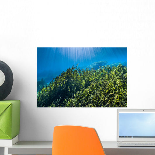 Vegetation Rises up from Wall Decal