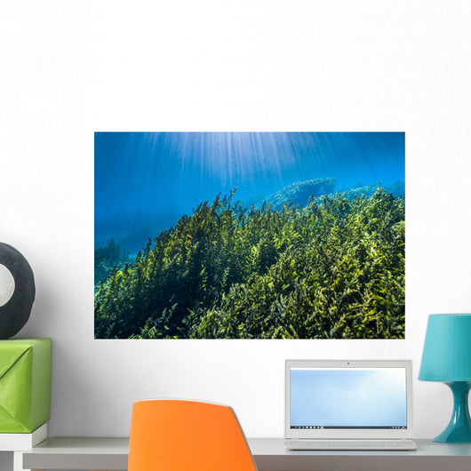 Vegetation Rises up from Wall Decal