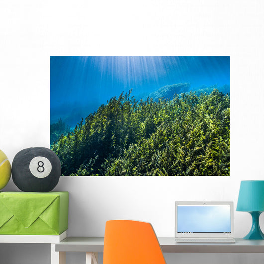 Vegetation Rises up from Wall Decal