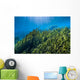 Vegetation Rises up from Wall Decal