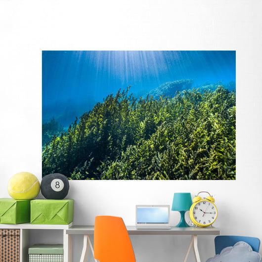 Vegetation Rises up from Wall Decal