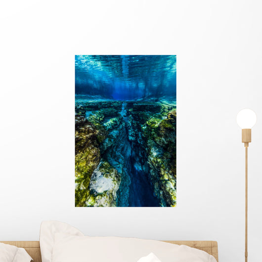 Ginnie Springs Florida Wall Decal