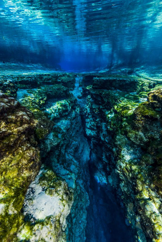 Ginnie Springs Florida Wall Decal