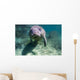 Manatee Crystal River Florida Face Front Wall Decal