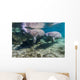 Manatee with Calf Crystal Swimming Wall Decal