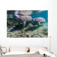 Manatee with Calf Crystal Swimming Wall Decal