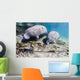 Manatee with Calf Searching Crystal Wall Decal
