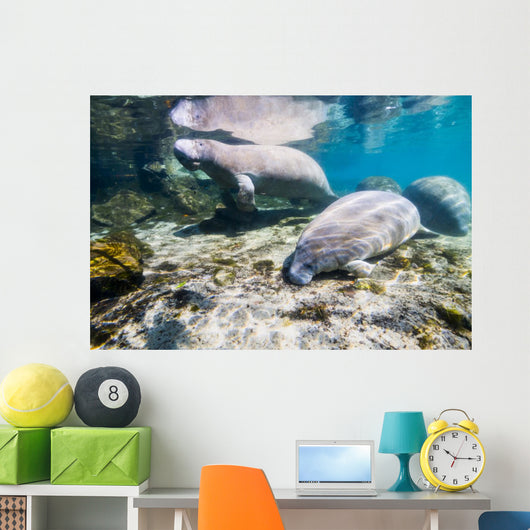 Manatee with Calf Crystal Wall Decal