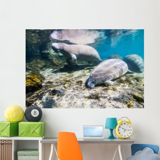 Manatee with Calf Crystal Wall Decal