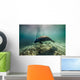 Manatee Crystal River Florida Wall Decal