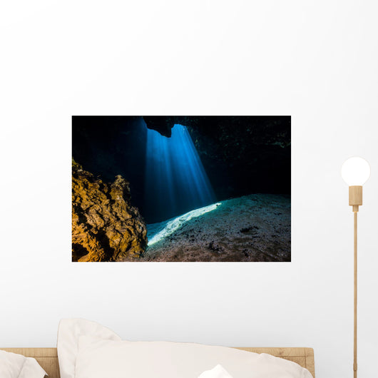 Light Filters through Jug Wall Decal