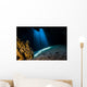 Light Filters through Jug Wall Decal