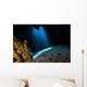 Light Filters through Jug Wall Decal