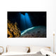 Light Filters through Jug Wall Decal