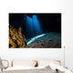 Light Filters through Jug Wall Decal