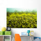 Round Spherical Nostoc Cyanobacteria Wall Decal