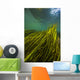 Texas Wild Rice San Vertical Wall Decal