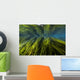 Texas Wild Rice San Wall Decal