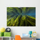 Texas Wild Rice San Wall Decal