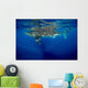 Whale Shark Isla Mujeres Swimming Away Wall Decal