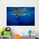 Whale Shark Isla Mujeres Swimming Away Wall Decal
