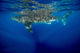 Whale Shark Isla Mujeres Swimming Away Wall Decal