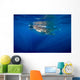 Whale Shark Isla Mujeres Distant Surface Wall Decal