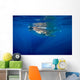 Whale Shark Isla Mujeres Distant Surface Wall Decal