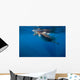 Whale Shark Isla Mujeres Light Rays Wall Decal
