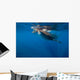 Whale Shark Isla Mujeres Light Rays Wall Decal