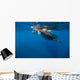 Whale Shark Isla Mujeres Light Rays Wall Decal